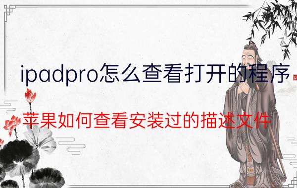 ipadpro怎么查看打开的程序 苹果如何查看安装过的描述文件？